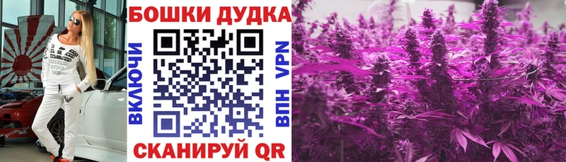 kraken tor  где продают наркотики  Динская  Шишки марихуана гибрид 